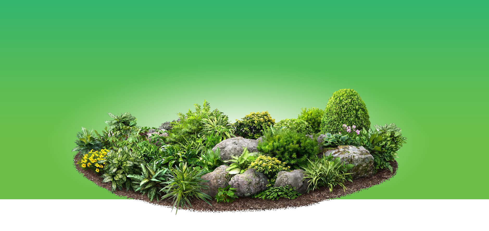 Jardincas - Gestión de zonas verdes, reformas y construcción en Castellon